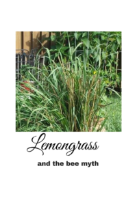 Does Lemongrass Attract Bees? Anna's Musings